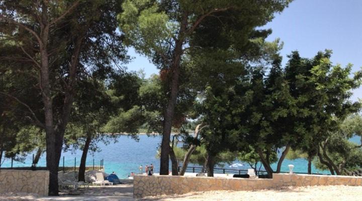 טרוגיר Apartments Villa Macola מראה חיצוני תמונה