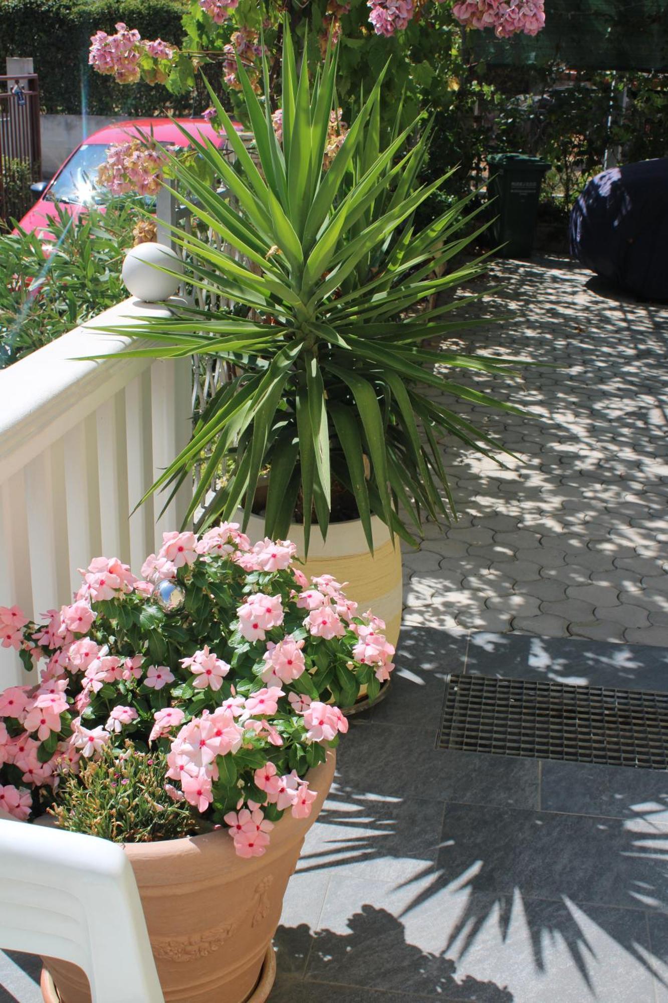 טרוגיר Apartments Villa Macola חדר תמונה